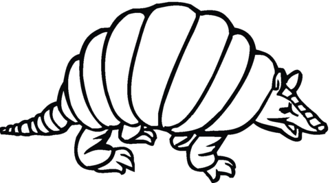 Armadilo 8 Coloring Page